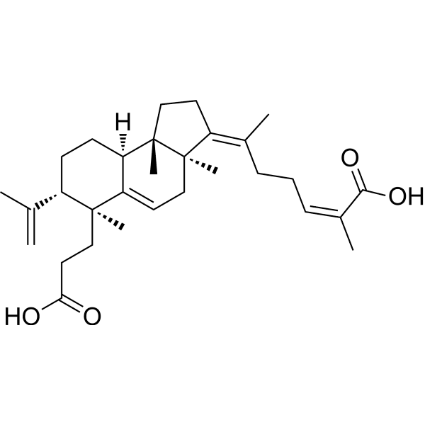 Kadsuracoccinic acid A Structure