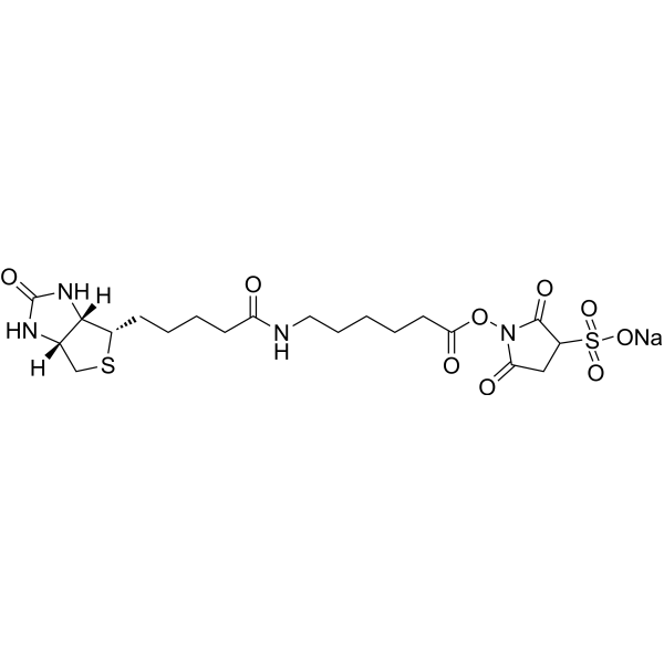 Sulfo-NHS-LC-Biotin sodium Structure