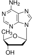 2',5'-Dideoxyadenosine Structure