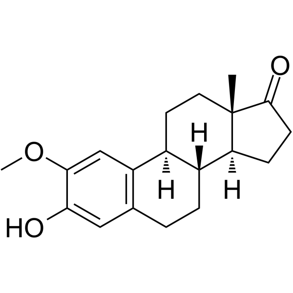 2-Methoxyestrone Structure