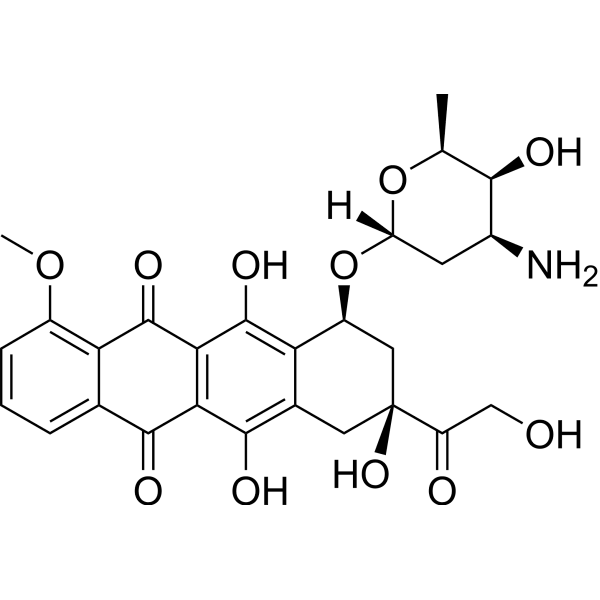 Doxorubicin Structure