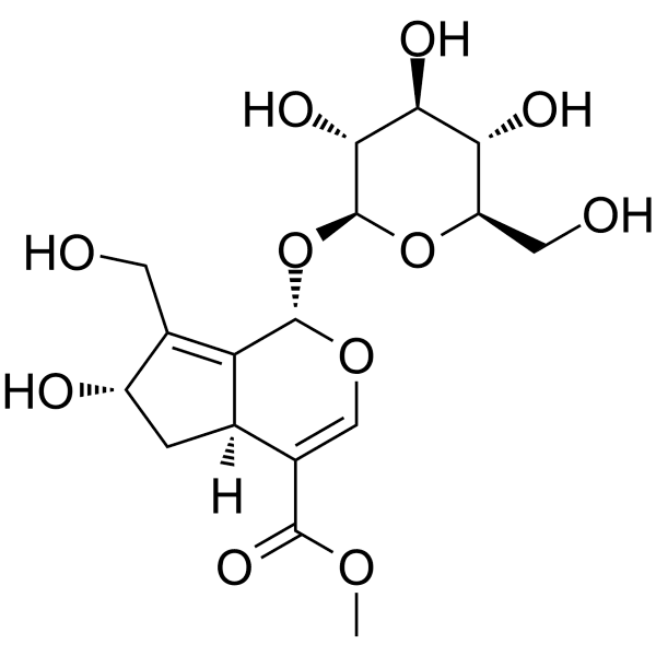 10-Hydroxy majoroside Structure
