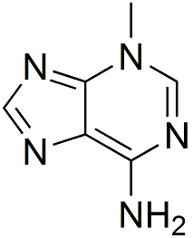 3-Methyladenine (3-MA) Structure