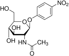 4-Nitrophenyl N-acetyl-β-D-glucosaminide Structure