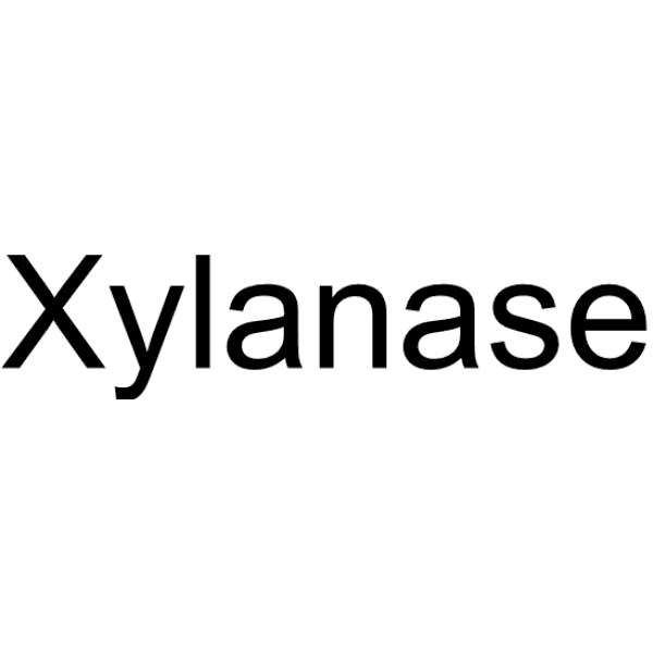 Xylanase Structure