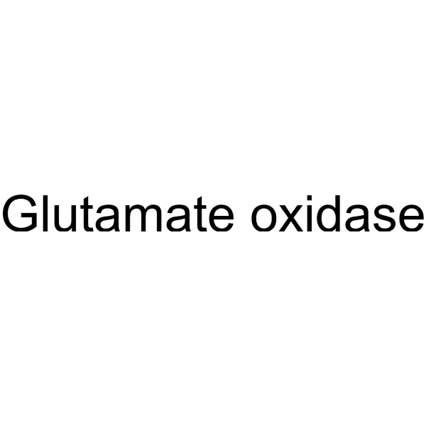 Glutamate oxidase Structure