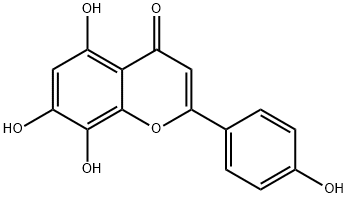  8-Hydroxyapigenin Structure
