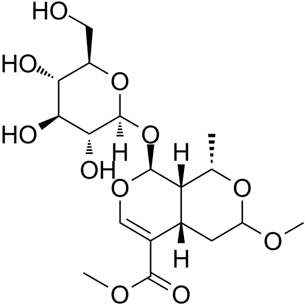 7-O-Methyl morroniside Structure