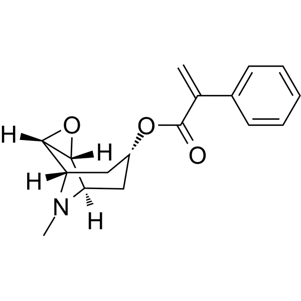 Apohyoscine Structure