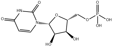 Uridine 5'-monophosphate Structure