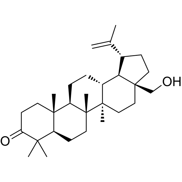 3-Oxobetulin Structure