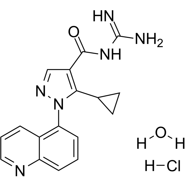 Zoniporide hydrochloride hydrate Structure