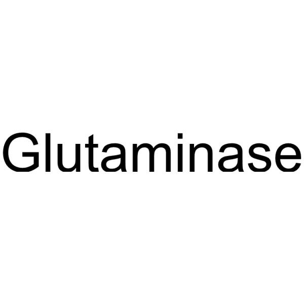 Glutaminase Structure