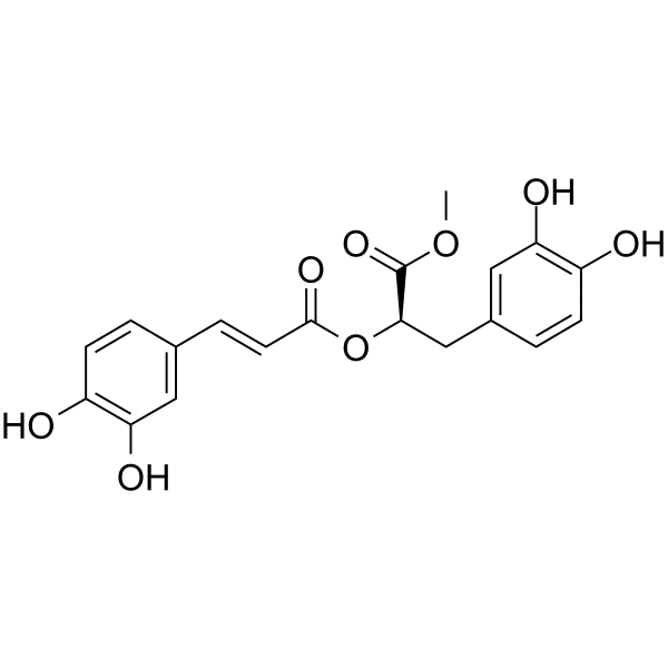 Methyl rosmarinate Structure