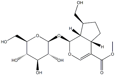 Adoxoside Structure