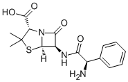 Ampicillin Structure