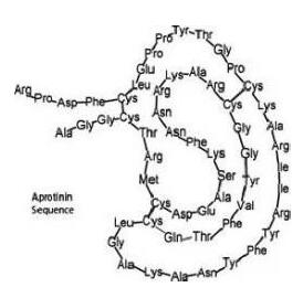 Aprotinin Structure
