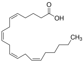 Arachidonic acid Structure