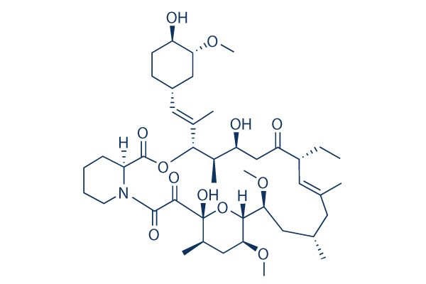 Ascomycin Structure