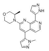 Elimusertib (BAY-1895344) Structure