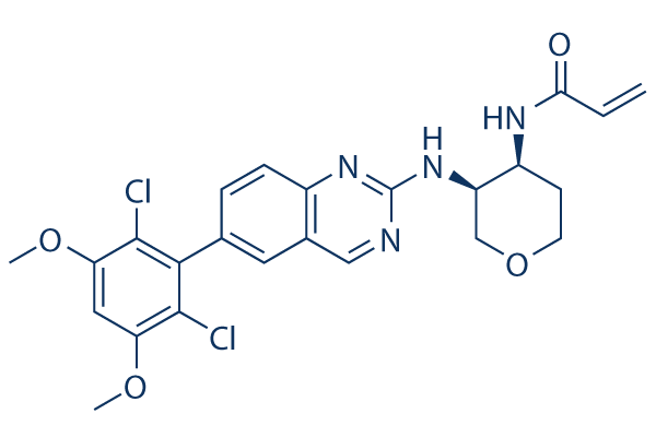 Fisogatinib (BLU-554) Structure