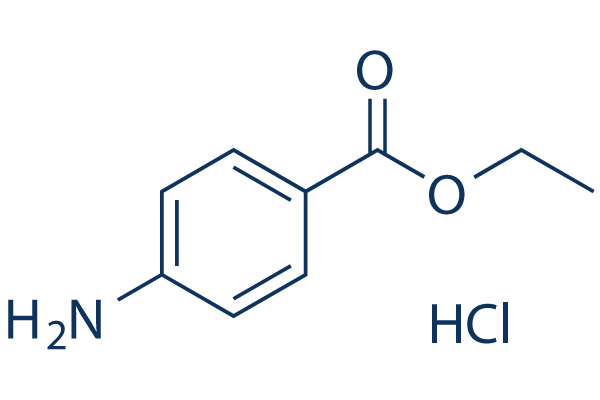 Benzocaine hydrochloride Structure