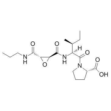 CA-074 Structure