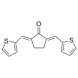 CCT007093 Structure