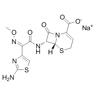 Ceftizoxime sodium Structure