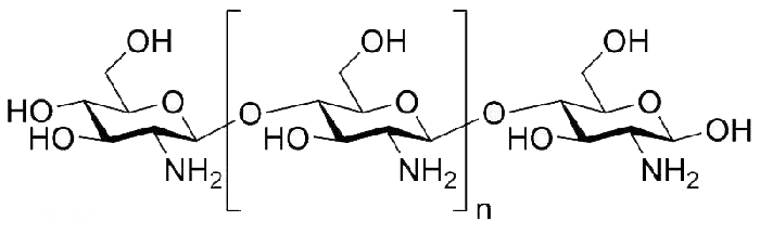 Chitosan Structure