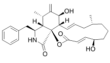 Cytochalasin B Structure