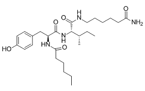 Dihexa Structure