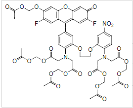 Fluo-5N,AM Structure