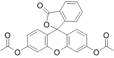 Fluorescein diacetate (FDA) Structure