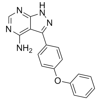 3-(4-phenoxyphenyl)-1H-pyrazolo[3,4-d]pyriMidin-4-aMine Structure