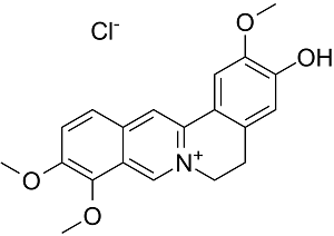 Jatrorrhizine chloride Structure