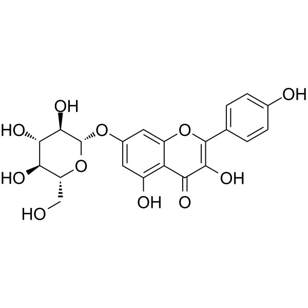 Kaempferol-7-O-β-D-glucopyranoside Structure