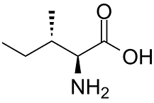 L-Isoleucine Structure
