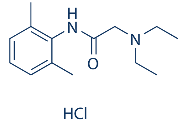Lidocaine HCl Structure