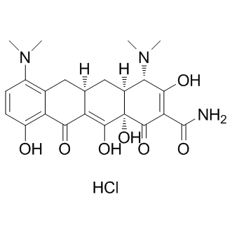 Minocycline hydrochloride Structure