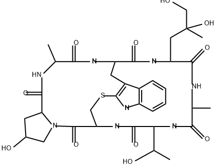 Phalloidin Structure