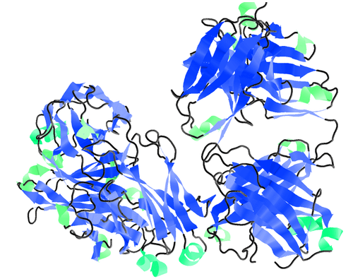 Rituximab Structure