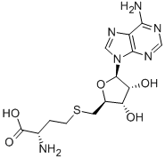 S-Adenosylhomocysteine Structure
