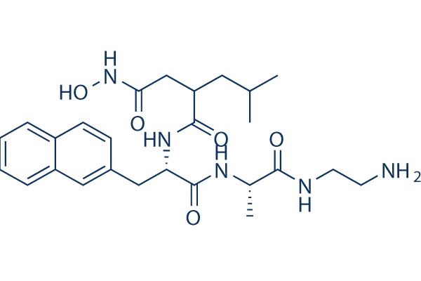 TAPI-1 Structure