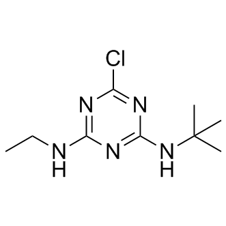 Terbuthylazine Structure