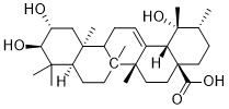 Tormentic Acid Structure