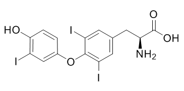 Triiodothyronine Structure