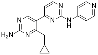 PIK-III Structure