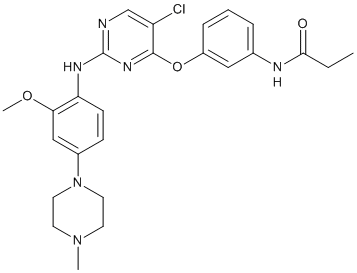 WZ4003 Structure