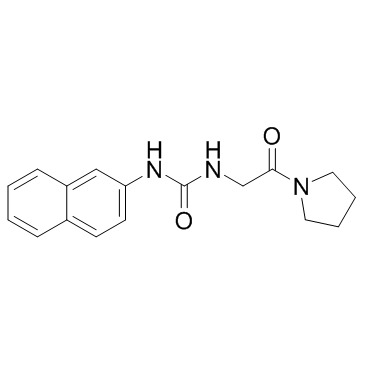 XY1 Structure